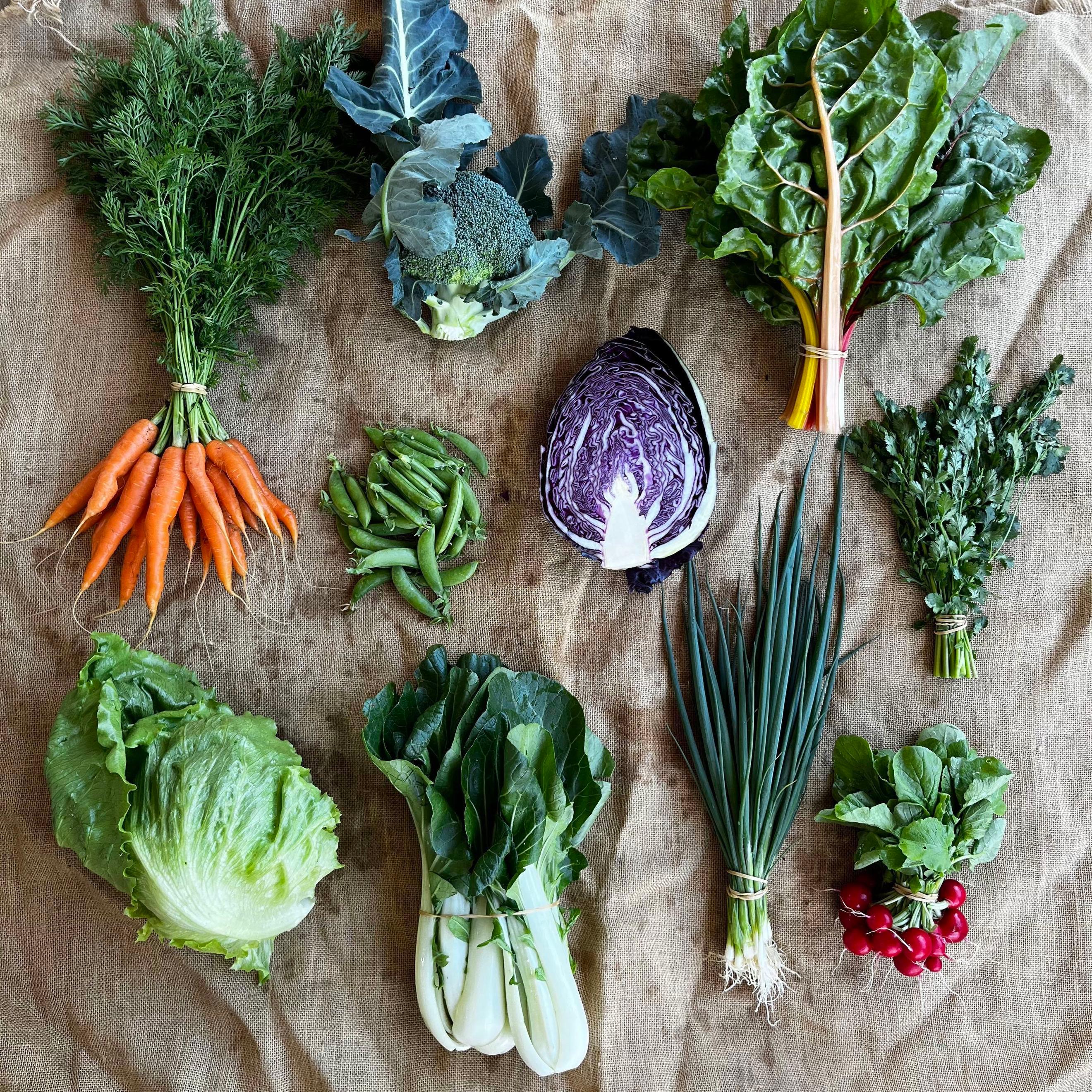 Christmas Veggie Box